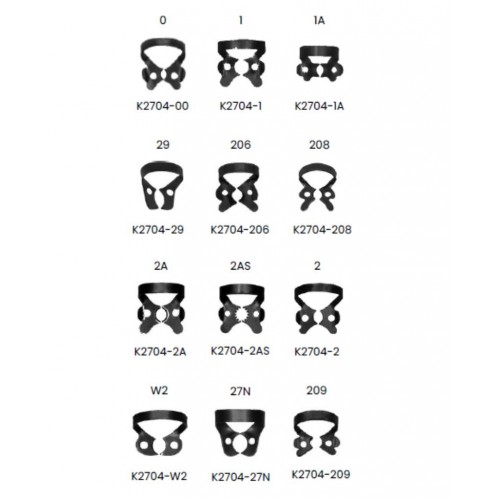 Clema diga neagra, Black coated, Premolar